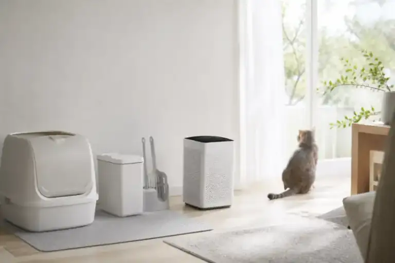 猫トイレ周辺の換気・掃除・空気対策を見直す様子（NYALECTA編集部によるイメージ・商品写真ではありません）